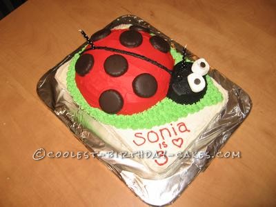 Ladybug Birthday Cake on Coolest Ladybug Birthday Cake